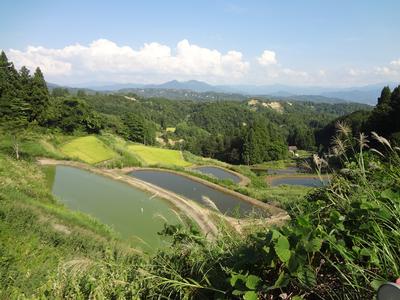 川口地域の風景