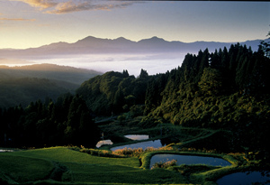 川口町の棚田風景