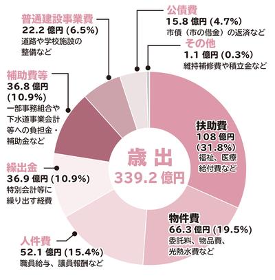 一般会計歳出　円グラフ