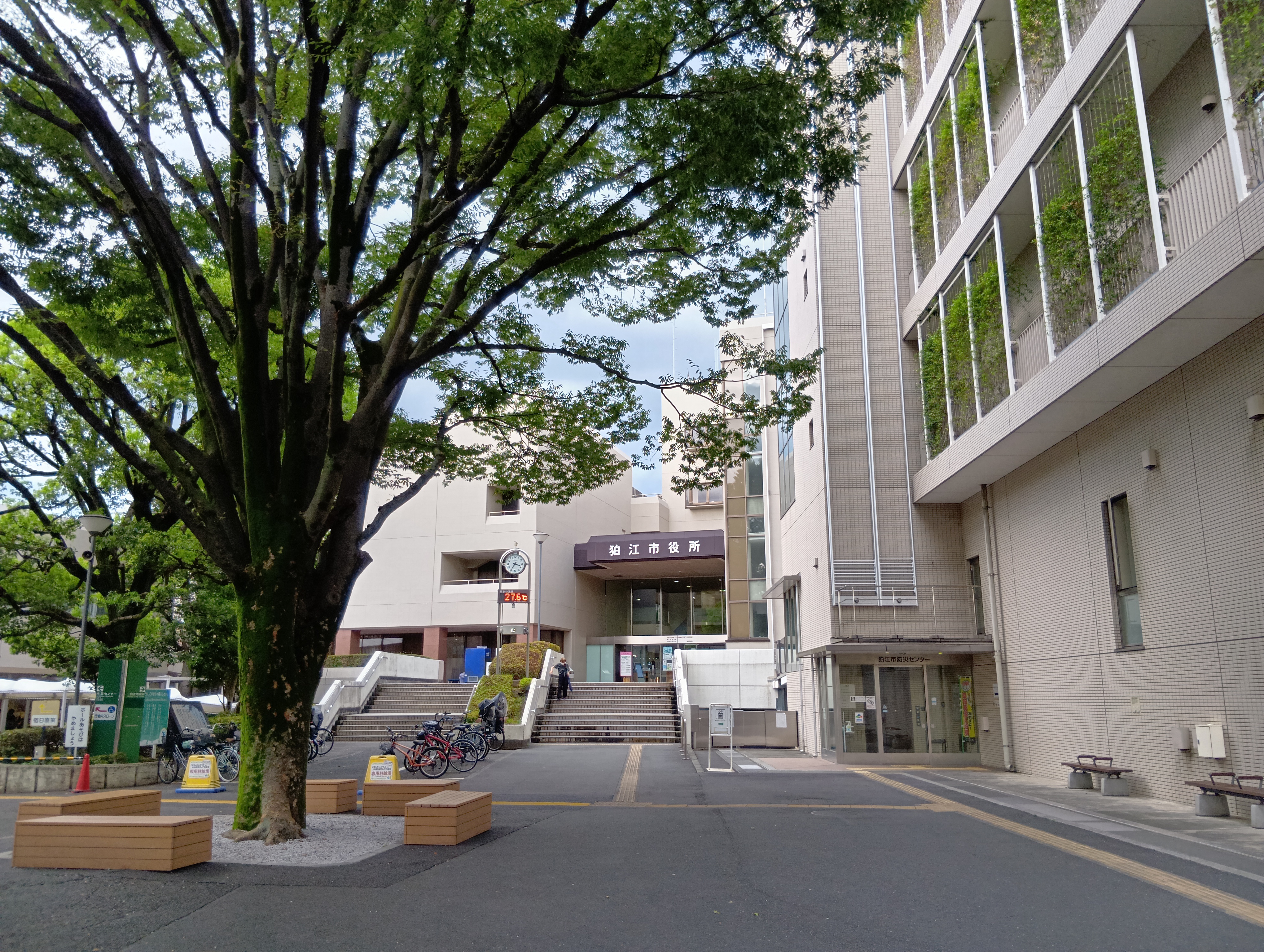 活動歴および当時の関連ビジュアル記録