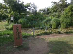 前原公園２